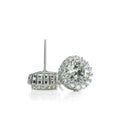 Halo Stud Earrings