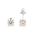 Stud Earrings